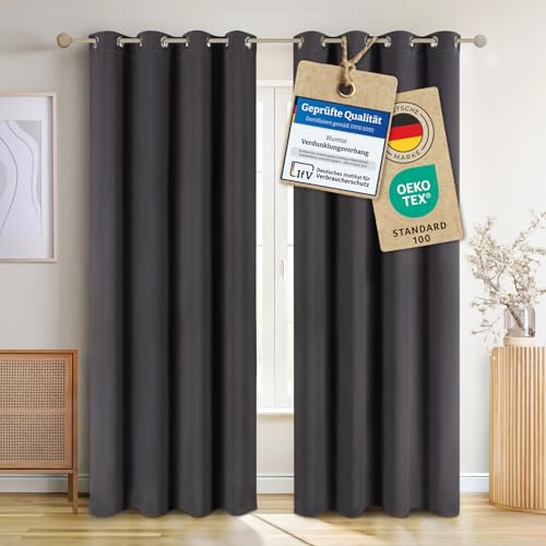 Blumtal Verdunklungsvorhänge 2er Set - Thermovorhang Hitzeschutz - Vorhang Blickdicht mit Ösen - Gardinenschals mit Schlaufen - Gardinen 295x140cm - Thermo Vorhänge gegen Kälte - Curtain - Anthrazit von Blumtal