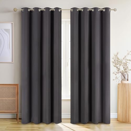 Blumtal Verdunklungsvorhänge 2er Set - Thermovorhang Hitzeschutz - Vorhang Blickdicht mit Ösen - Gardinenschals mit Schlaufen - Gardinen 265x140cm - Thermo Vorhänge gegen Kälte - Curtain - Anthrazit von Blumtal