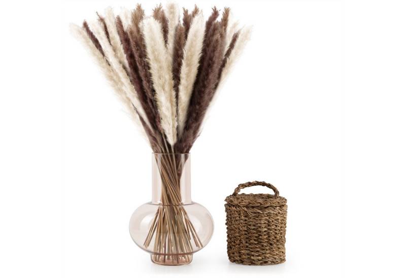 Kunstpflanze getrocknet - Trockenblumen, Ideales Dekoelement Pampasgras, Blumtal, Höhe 58 cm, 30, 50 oder 100 Stück von Blumtal