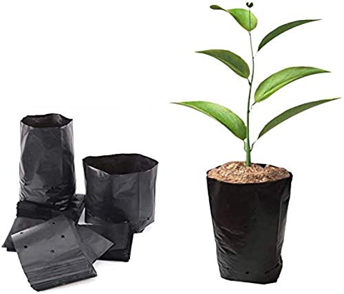 BoBoHome 100 Stück Kunststoff Baumschul Töpfe Pflanzensämling Behälter Schwarz Sämlinge Töpfe Sämling Raising Tasche Mit Drainage 26X21Cm BoBoHome 100 Stück Kunststoff Baumschul Töpfe Pflanzensämling Behälter Schwarz Sämlinge Töpfe Sämling Raising Tasche Mit Drainage 26X21Cm von BoBoHome