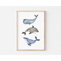 Kinderzimmer Poster Wale Orca Blauwal, Wandbilder Wanddeko Babyzimmer Kunstdruck Nursery Art Mädchen Junge Kinder A4, A3 Kinderzimmer Poster Wale Orca Blauwal, Wandbilder Wanddeko Babyzimmer Kunstdruck Nursery Art Mädchen Junge Kinder A4, A3 von BoNuDesign
