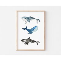 Kinderzimmer Poster Wale Orca Blauwal, Wandbilder Wanddeko Babyzimmer Kunstdruck Nursery Art Mädchen Junge Kinder A4, A3 Kinderzimmer Poster Wale Orca Blauwal, Wandbilder Wanddeko Babyzimmer Kunstdruck Nursery Art Mädchen Junge Kinder A4, A3 von BoNuDesign