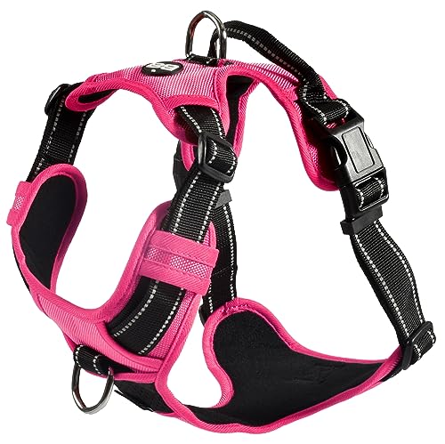 Bobby Rando Walk – Hundegeschirr, Hundegeschirr für mittelgroße, kleine und große Hunde aus Nylon, sicher, bequem, reflektierend, verstellbar, Fuchsia, L/46–70 x 2,5 cm von Bobby Canifrance