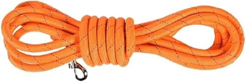 Bobby Walk 5 M – Hundeleine 3 Meter/Stärke 1,2 cm, schlauchförmige Hundeleine, strapazierfähiges Nylon, Orange, 5 Meter Bobby Walk 5 M – Hundeleine 3 Meter/Stärke 1,2 cm, schlauchförmige Hundeleine, strapazierfähiges Nylon, Orange, 5 Meter von Bobby Canifrance