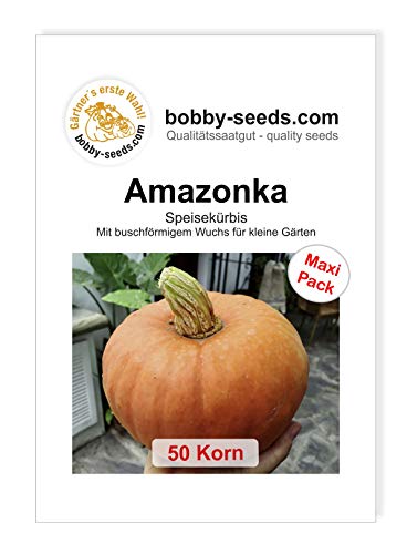 Amazonka Kürbissamen von Bobby-Seeds 50 Korn von Bobby-Seeds Saatzucht
