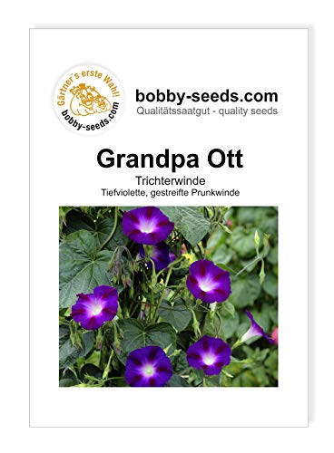 Blumensamen Grandpa Ott Prunkwinde Portion von Bobby-Seeds Saatzucht