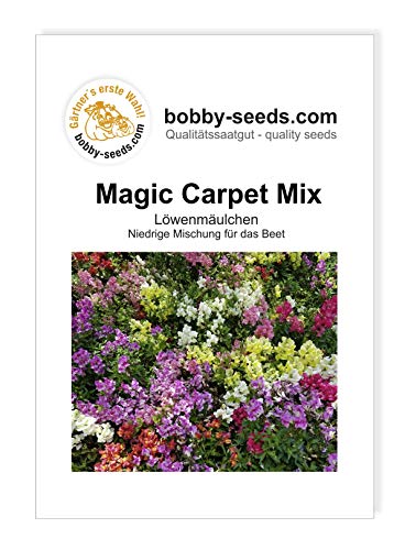 Blumensamen Magic Carpet Mix Löwenmäulchen Portion von Bobby-Seeds Saatzucht