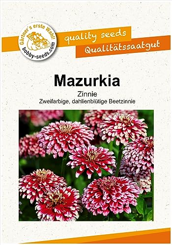 Blumensamen Mazurkia Zinnie Portion von Gärtner's erste Wahl! bobby-seeds.com