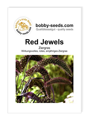 Blumensamen Red Jewels, Ziergras Portion von Bobby-Seeds Saatzucht