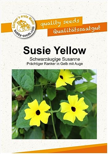 Blumensamen Susie Gelb - Schwarzäugige Susanne Portion Blumensamen Susie Gelb - Schwarzäugige Susanne Portion von Gärtner's erste Wahl! bobby-seeds.com