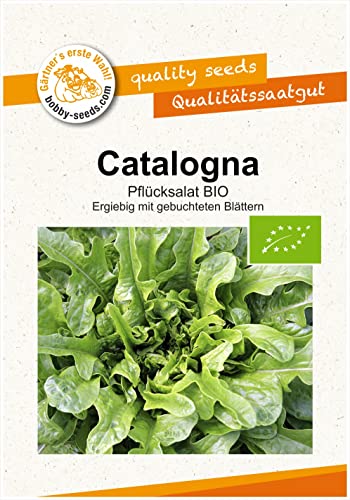 BIO-Salatsamen Catalogna Pflücksalat Portion von Gärtner's erste Wahl! bobby-seeds.com