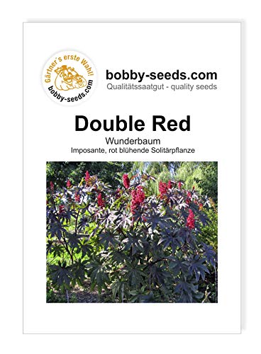 Blumensamen Double Red Wunderbaum Portion von Gärtner's erste Wahl! bobby-seeds.com