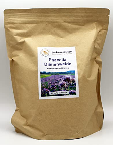 Bodenkur Phacelia Bienenfreund - einjährige Gründüngung und Bienenweide 2,5 KG von Gärtner's erste Wahl! bobby-seeds.com