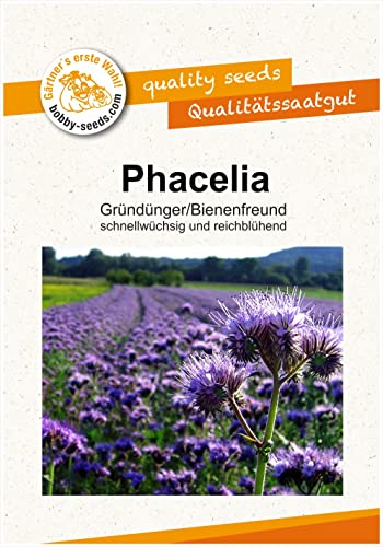 Bodenkur Phacelia Bienenfreund - einjährige Gründüngung und Bienenweide Portion von Gärtner's erste Wahl! bobby-seeds.com