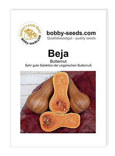 Bobby-Seeds Kürbissamen Beja Portion von Bobby-Seeds Saatzucht