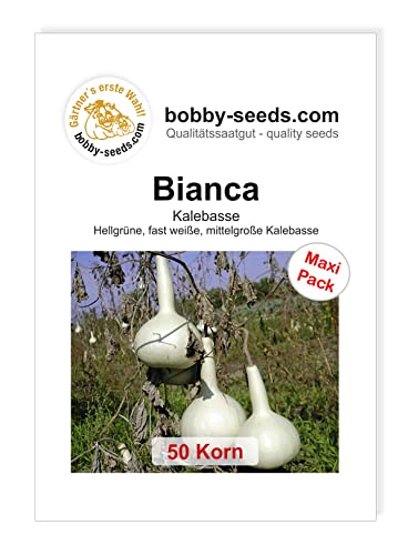 Bobby-Seeds Kürbissamen Bianca 50 Korn von Bobby-Seeds Saatzucht