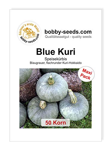 Blue Kuri Kürbissamen von Bobby-Seeds, 50 Korn von Gärtner's erste Wahl! bobby-seeds.com