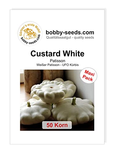 Bobby-Seeds Kürbissamen Custard White 50 Korn von Bobby-Seeds Saatzucht