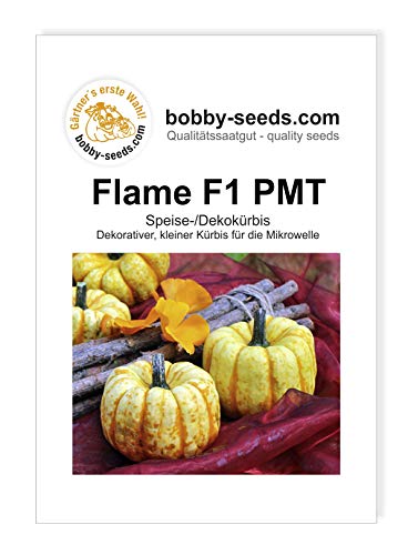 Flame F1 PMT Kürbissamen von Bobby-Seeds, Portion von Gärtner's erste Wahl! bobby-seeds.com