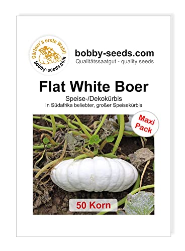 Bobby-Seeds Kürbissamen Flat White Boer 50 Korn von Bobby-Seeds Saatzucht