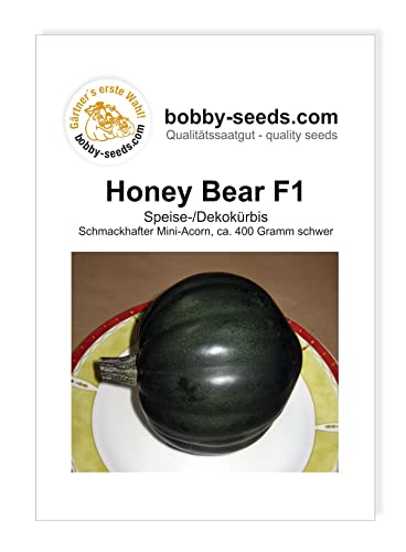 Bobby-Seeds Kürbissamen Honey Bear F1 Portion von Gärtner's erste Wahl! bobby-seeds.com