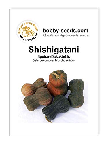 Shishigatani Kürbissamen von Bobby-Seeds, Portion von Gärtner's erste Wahl! bobby-seeds.com