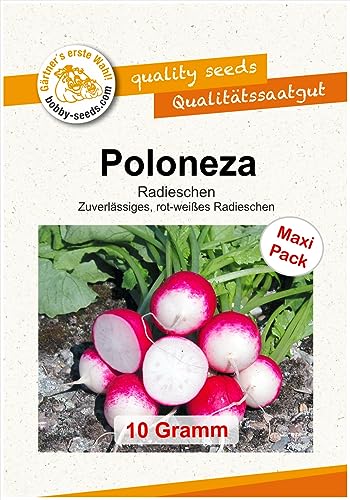 Radieschensamen Poloneza Maxipack von Gärtner's erste Wahl! bobby-seeds.com