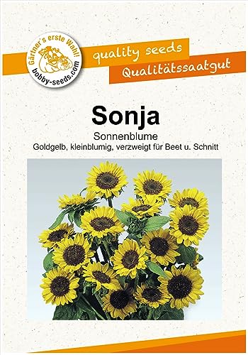 Blumensamen Sonja Sonnenblume Portion von Gärtner's erste Wahl! bobby-seeds.com