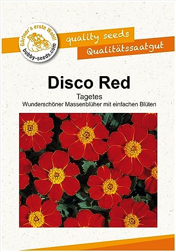 Blumensamen DISCO Red Tagetes Portion von Gärtner's erste Wahl! bobby-seeds.com