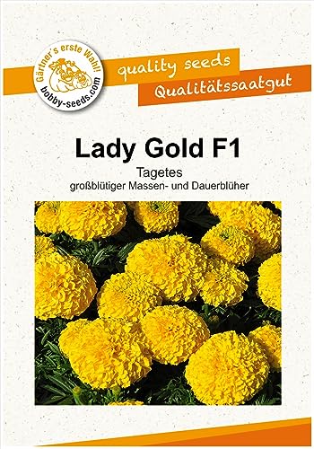 Blumensamen Lady Gold F1 Tagetes Portion von Gärtner's erste Wahl! bobby-seeds.com