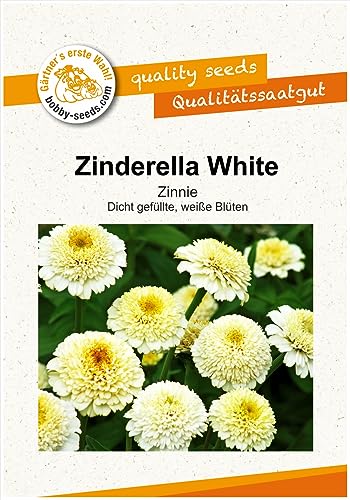 Blumensamen Zinderella White Zinnie Portion von Gärtner's erste Wahl! bobby-seeds.com