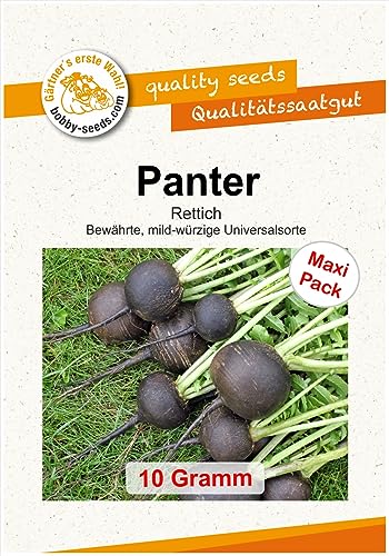 Gemüsesamen Panter, runder schwarzer Winter Rettich Maxipack von Gärtner's erste Wahl! bobby-seeds.com