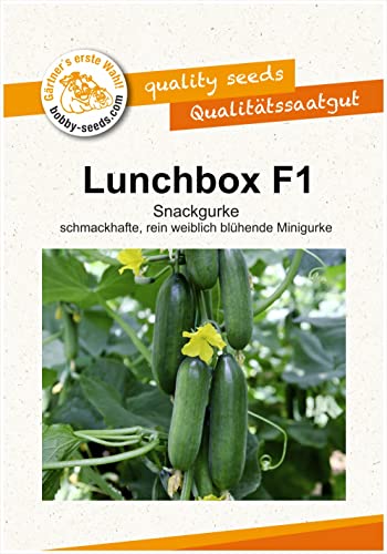 Lunchbox F1 Snackgurkensamen von bobby-seeds Portion von Bobby-Seeds Saatzucht