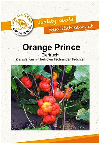 Gemüsesamen Orange Prince Aubergine Portion von Gärtner's erste Wahl! bobby-seeds.com