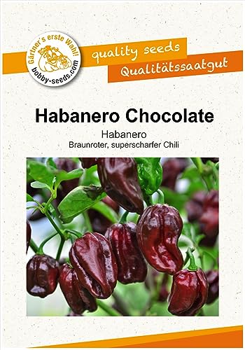Paprikasamen Habanero Chocolate Chili Portion von Bobby-Seeds Saatzucht