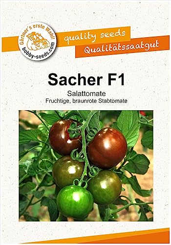 Tomatensamen Sacher F1 Portion von Gärtner's erste Wahl! bobby-seeds.com