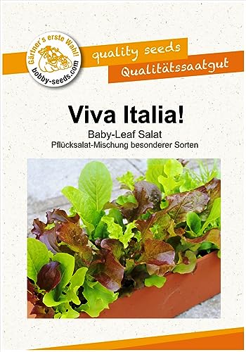 Viva Italia ! Babyleaf Pflücksalatsamen Mischung von Bobby-Seeds Portion von Bobby-Seeds Saatzucht