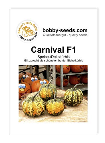 Bobby-Seeds Kürbissamen Carnival F1 Portion von Bobby-Seeds Saatzucht