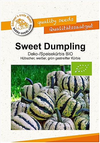 Sweet Dumpling BIO Kürbissamen von Bobby-Seeds Portion von Gärtner's erste Wahl! bobby-seeds.com