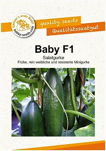 Gurkensamen Baby F1 Portion von Gärtner's erste Wahl! bobby-seeds.com