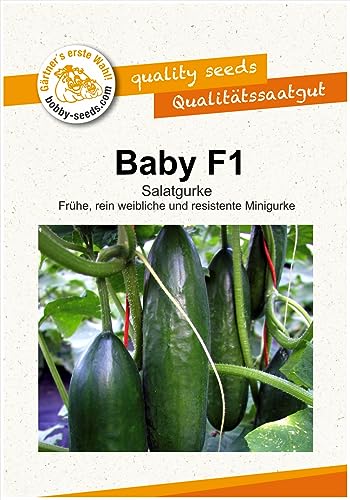 Bobby-Seeds Gurkensamen Baby F1, Portion Bobby-Seeds Gurkensamen Baby F1, Portion von Bobby-Seeds Saatzucht