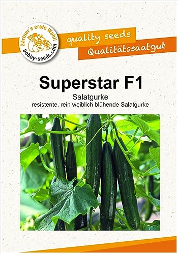 Gurkensamen Superstar F1 Gewächshausgurke Portion von Gärtner's erste Wahl! bobby-seeds.com