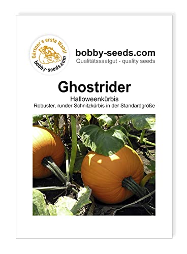 Bobby-Seeds Kürbissamen Ghostrider Portion von Bobby-Seeds Saatzucht