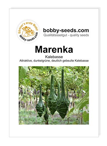 Marenka Kürbissamen von Bobby-Seeds Portion von Gärtner's erste Wahl! bobby-seeds.com