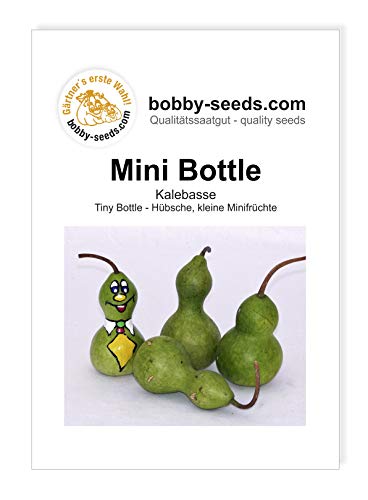 Bobby-Seeds Kürbissamen Mini Bottle - Tiny Bottle Portion von Bobby-Seeds Saatzucht