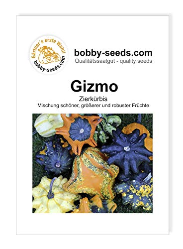 Gizmo Zierkürbis von Bobby-Seeds, Portion von Gärtner's erste Wahl! bobby-seeds.com