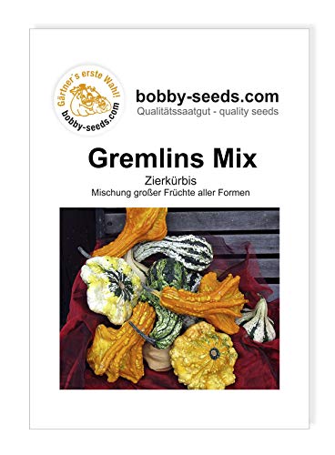 Bobby-Seeds Kürbissamen Zierkürbis Gremlins Mix Portion von Gärtner's erste Wahl! bobby-seeds.com