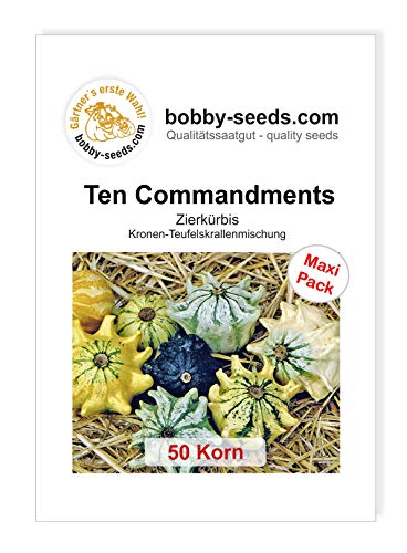Ten Commandments Zierkürbis von Bobby-Seeds, 50 Korn von Gärtner's erste Wahl! bobby-seeds.com