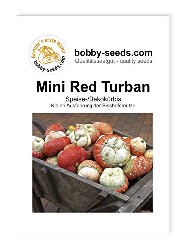 Mini Red Turban Bischofsmütze klein Kürbissamen von Bobby-Seeds, Portion von Gärtner's erste Wahl! bobby-seeds.com