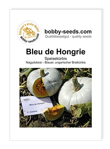 Bleu de Hongrie, Blauer Ungar Kürbissamen von Bobby-Seeds, Portion von Gärtner's erste Wahl! bobby-seeds.com